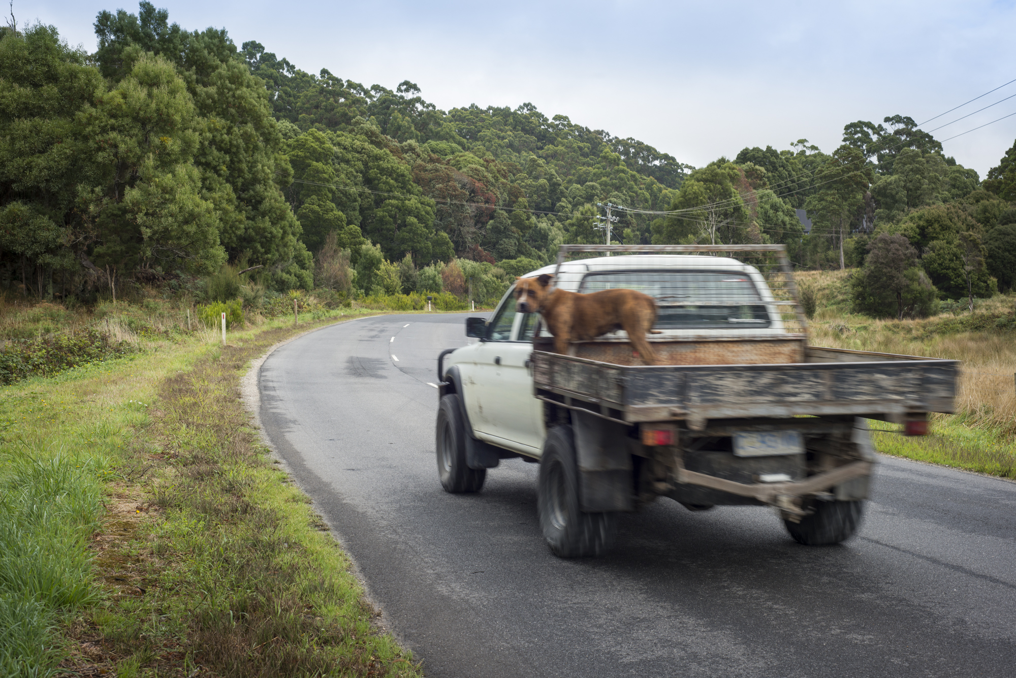 Thin winding roads lead the way to the Tarkine.