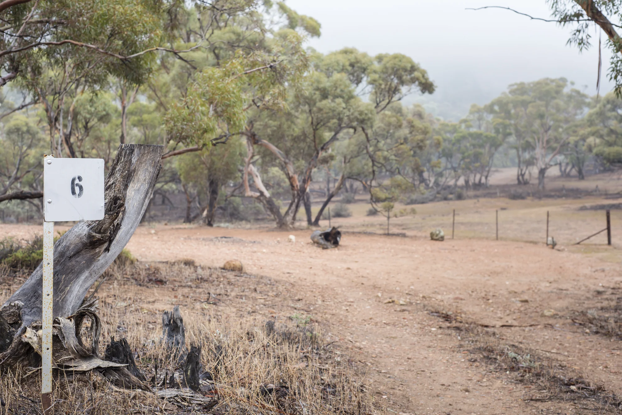 One of the campsites