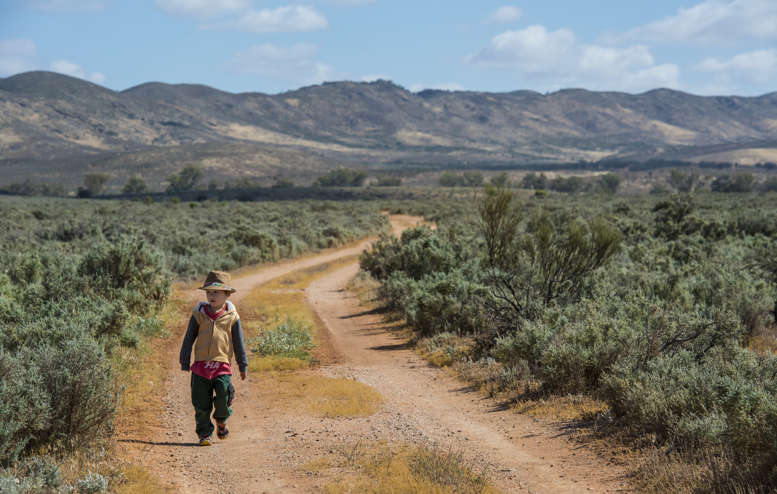 FlindersRanges011116-465.jpg