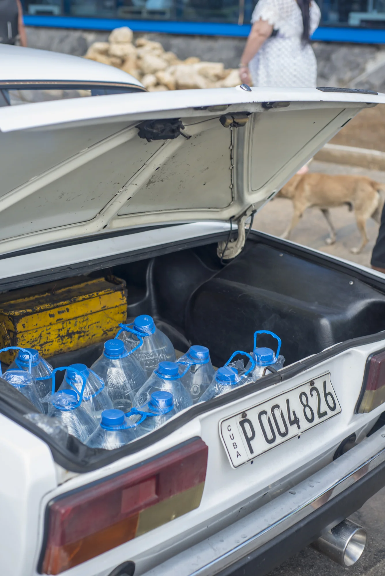 A supplies shop for three people