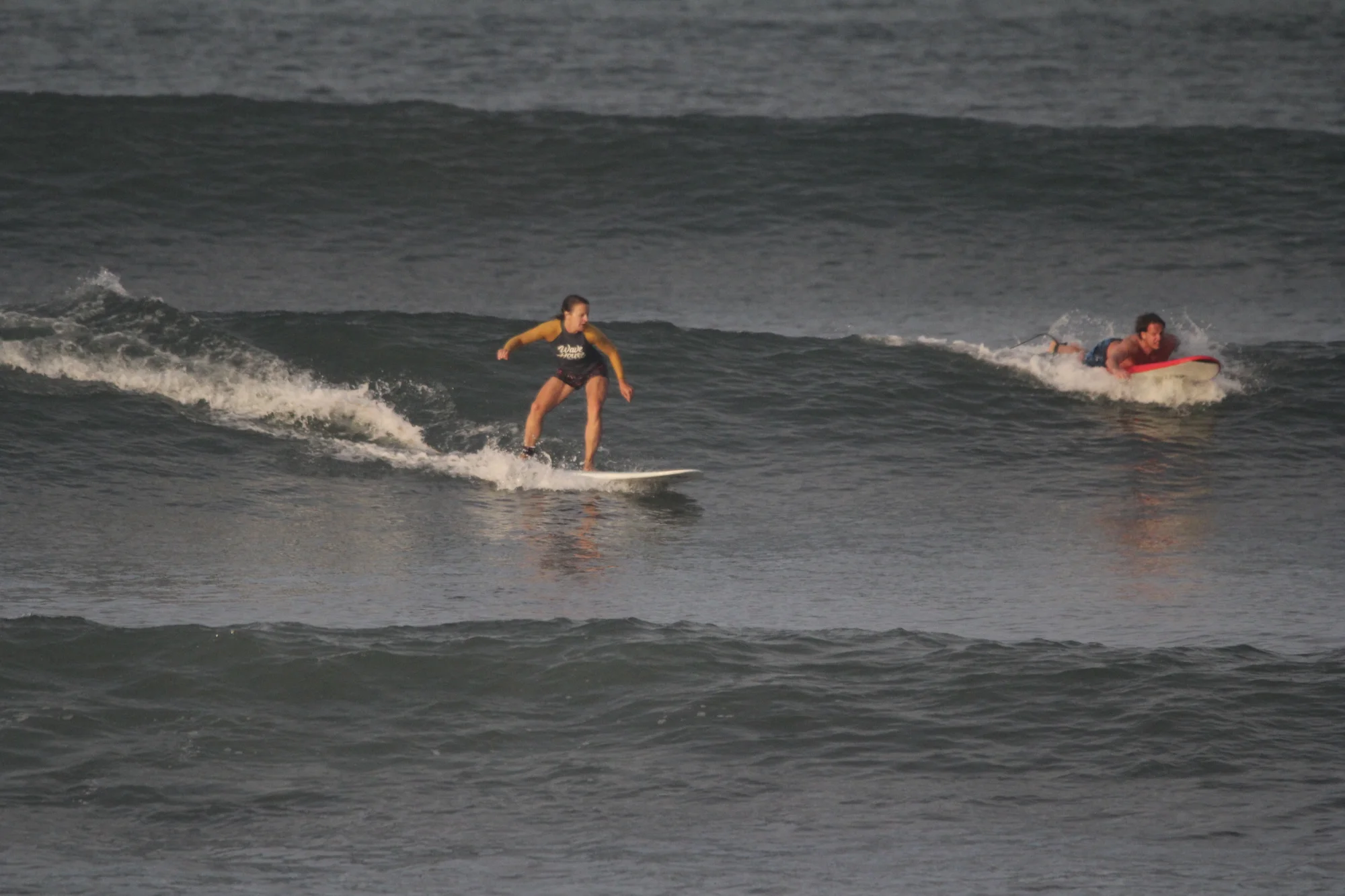 surf.jpg