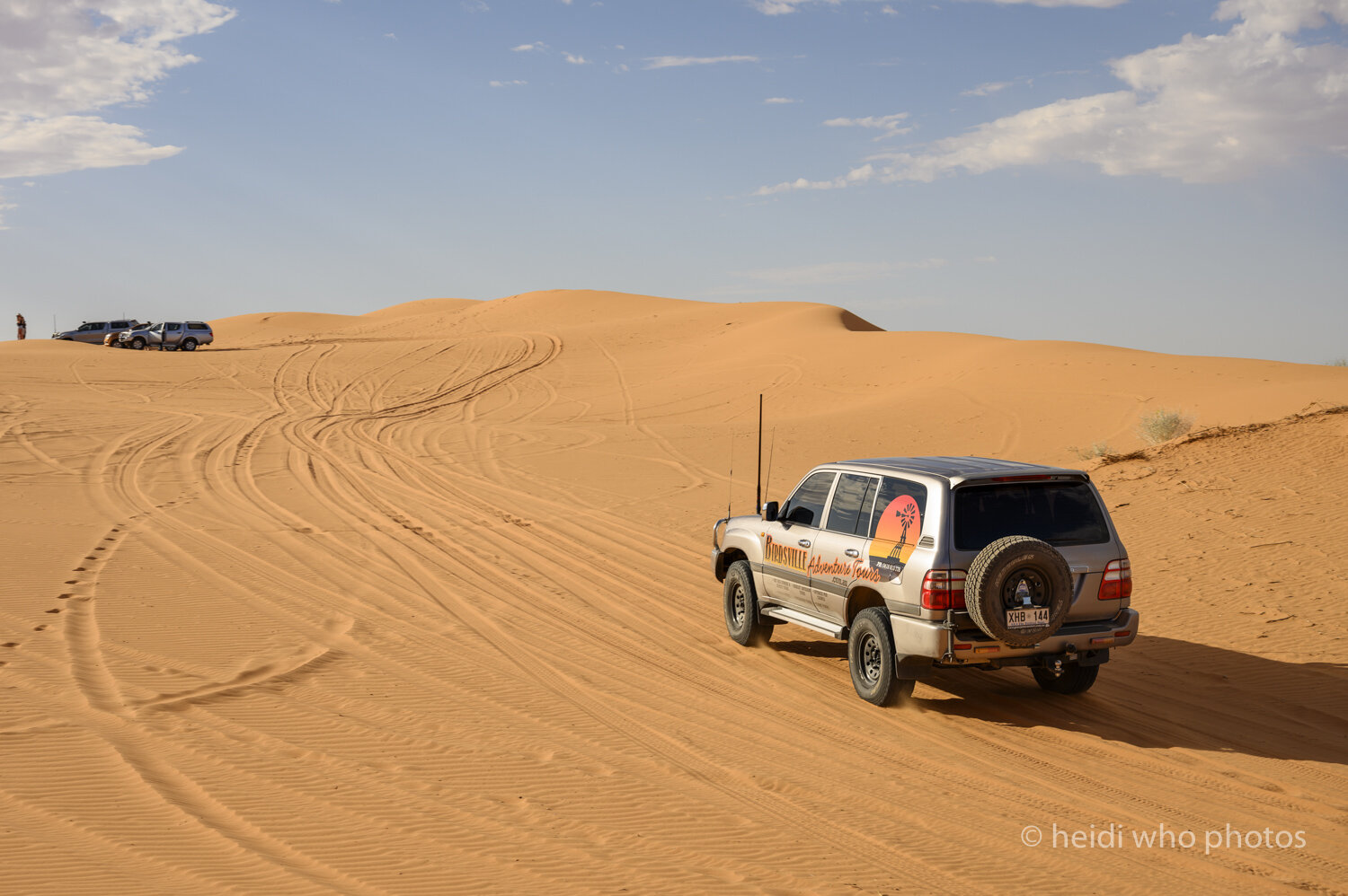 Birdsville1019-788.jpg