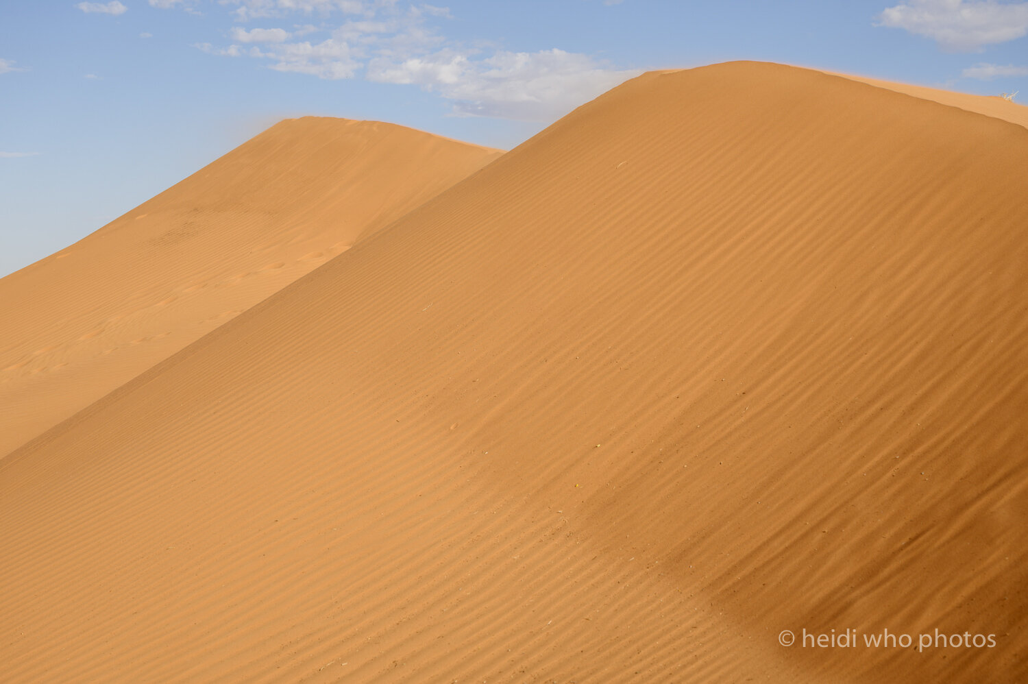 Birdsville1019-792.jpg