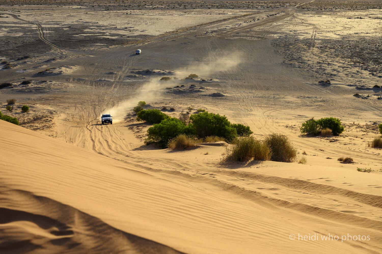 Birdsville1019-996.jpg