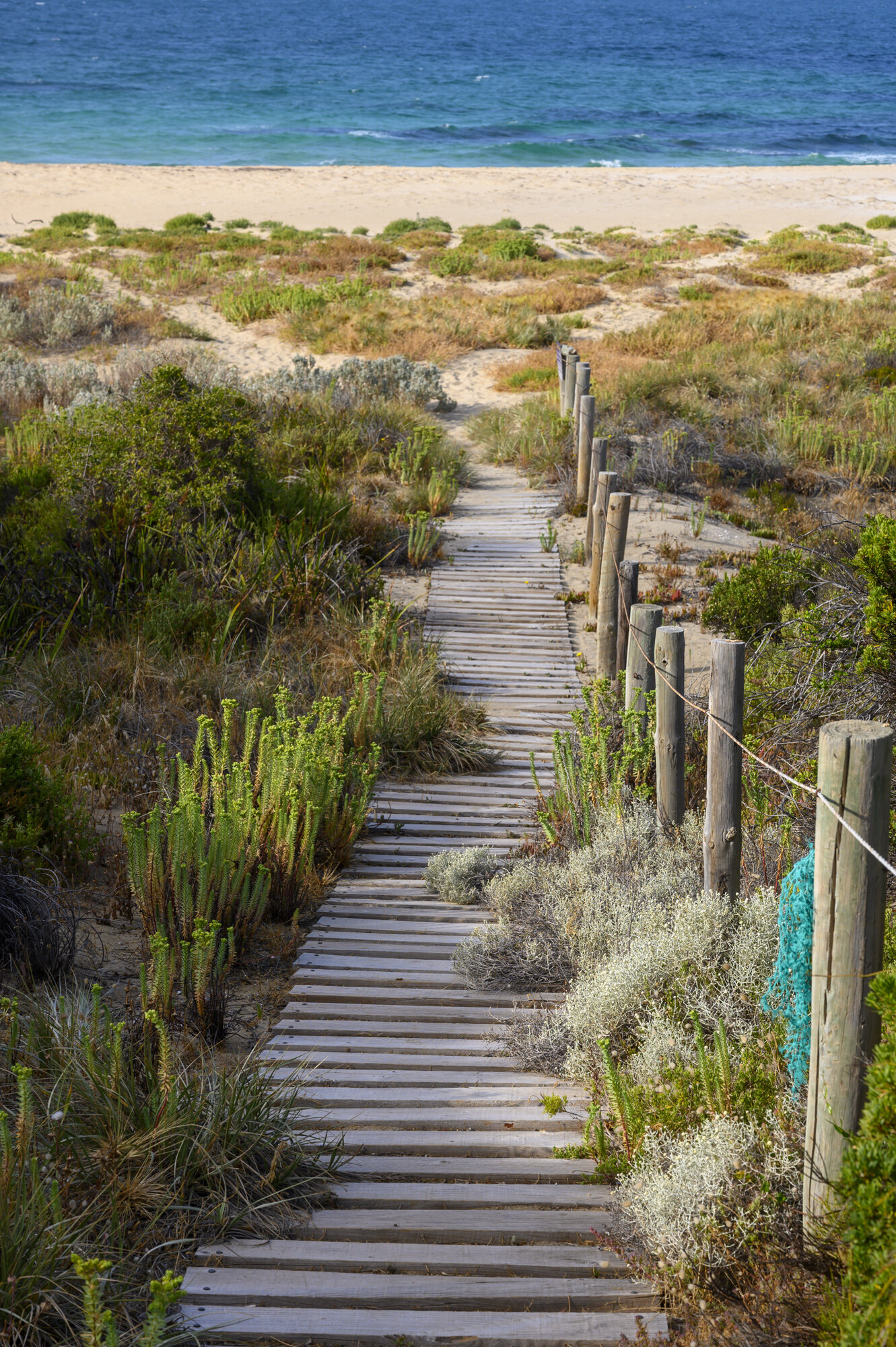 YorkePeninsula0120-37.jpg