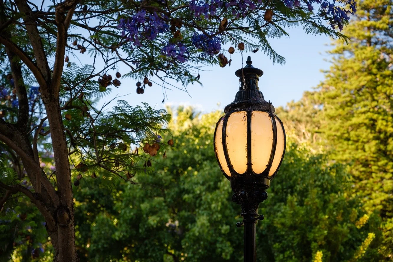 The morning I thought it was a great idea to go for a two hour walk up to Kings Park in new Havianas. It wasn&rsquo;t. Blisters on both feet. 

@australia @westernaustralia @visitperth