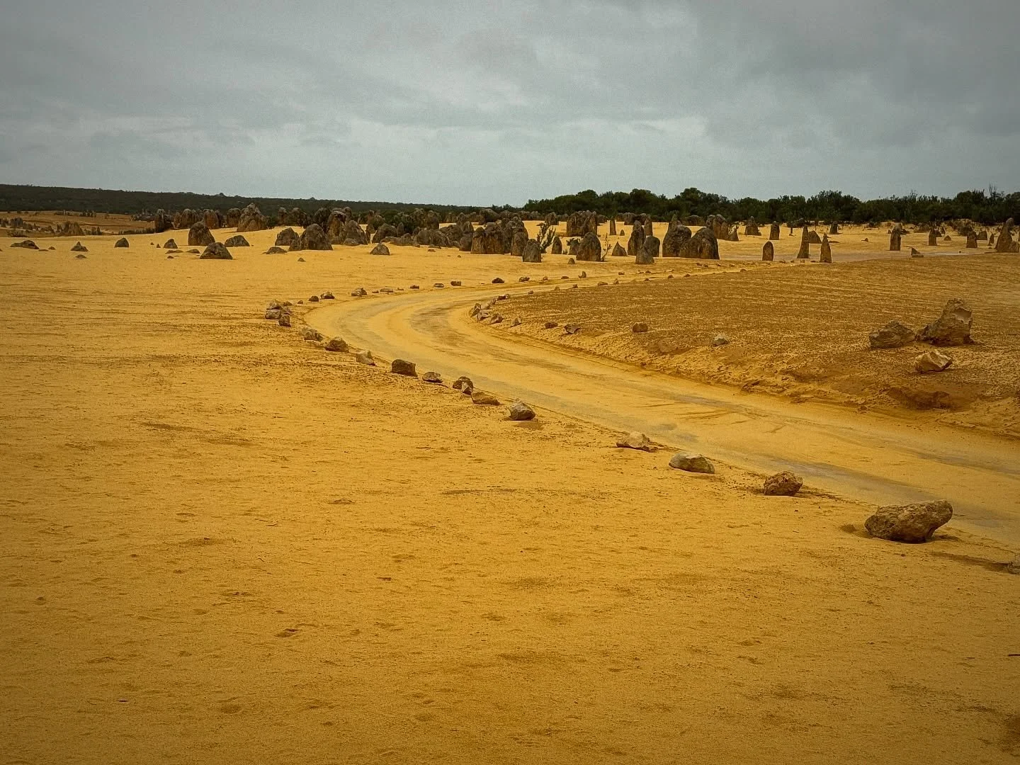 Grey skies. Light rain. Sunrise.

Not another soul in sight.

The Pinnacles felt less like a tourist destination and more like stepping into another world. Quiet, moody, and beautifully eerie.

Sometimes the best conditions are the ones most people s
