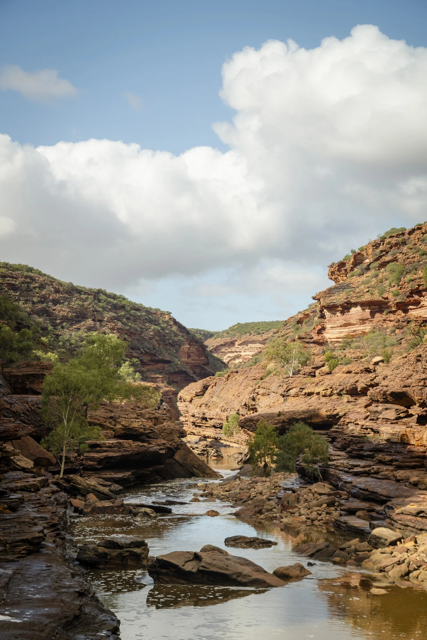 WA0626-181.jpg