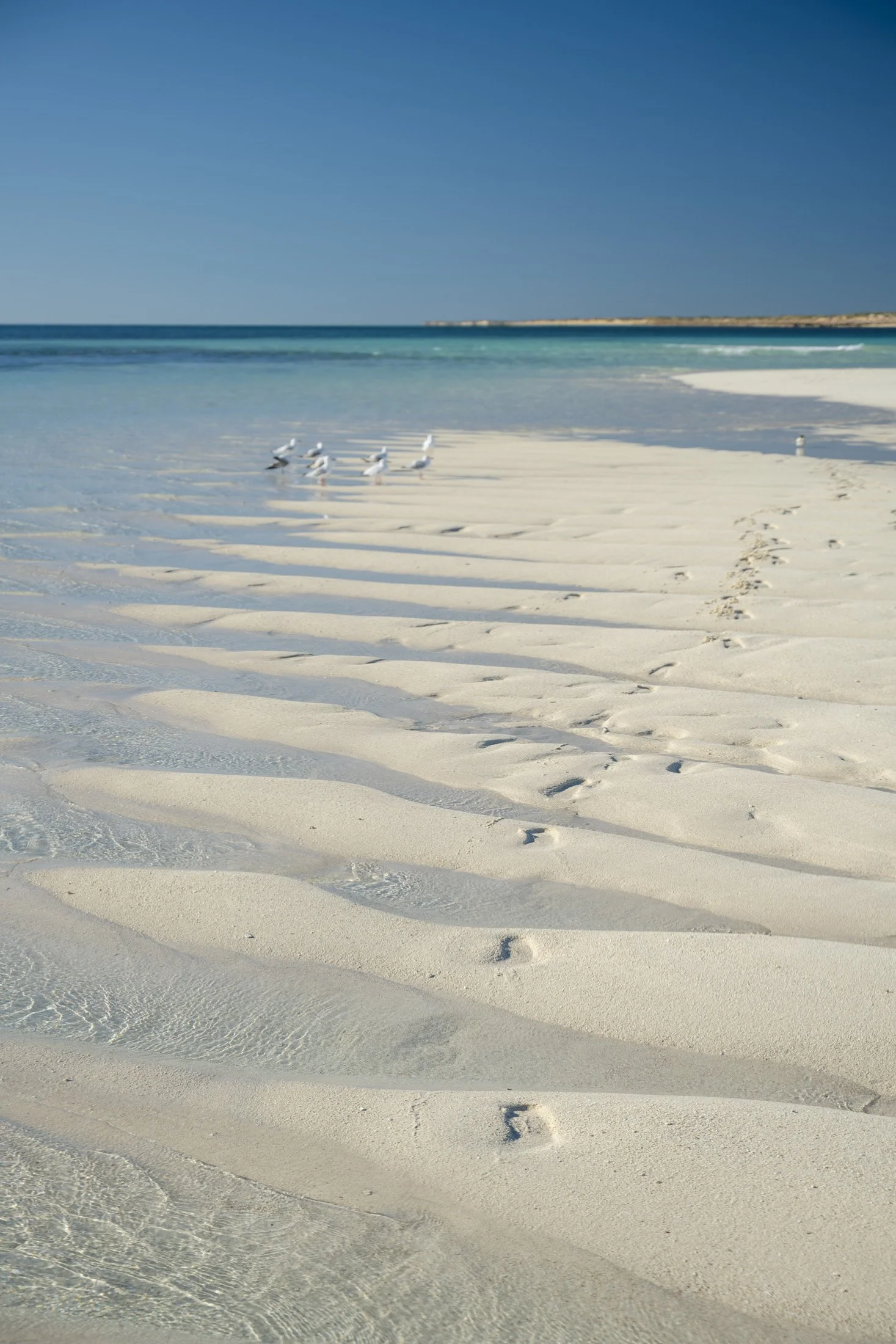 WA0626-357.jpg