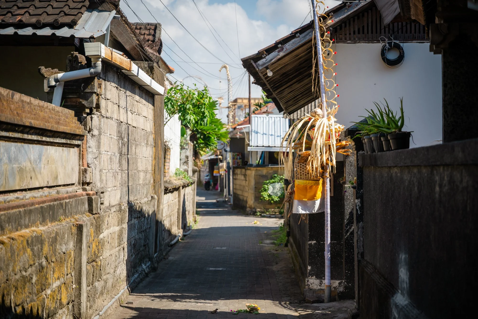 Bali0726-56.jpg