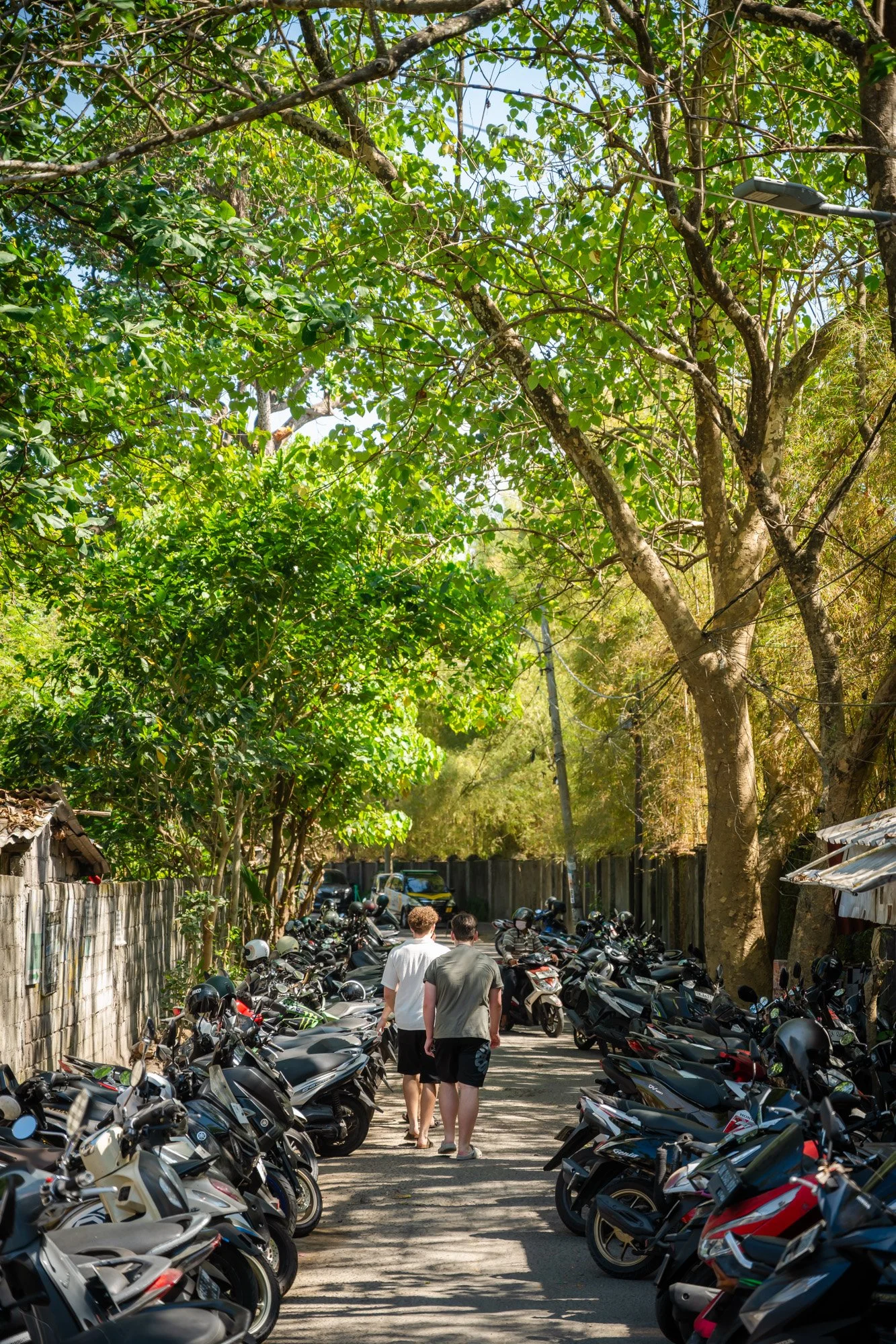Bali0726-76.jpg