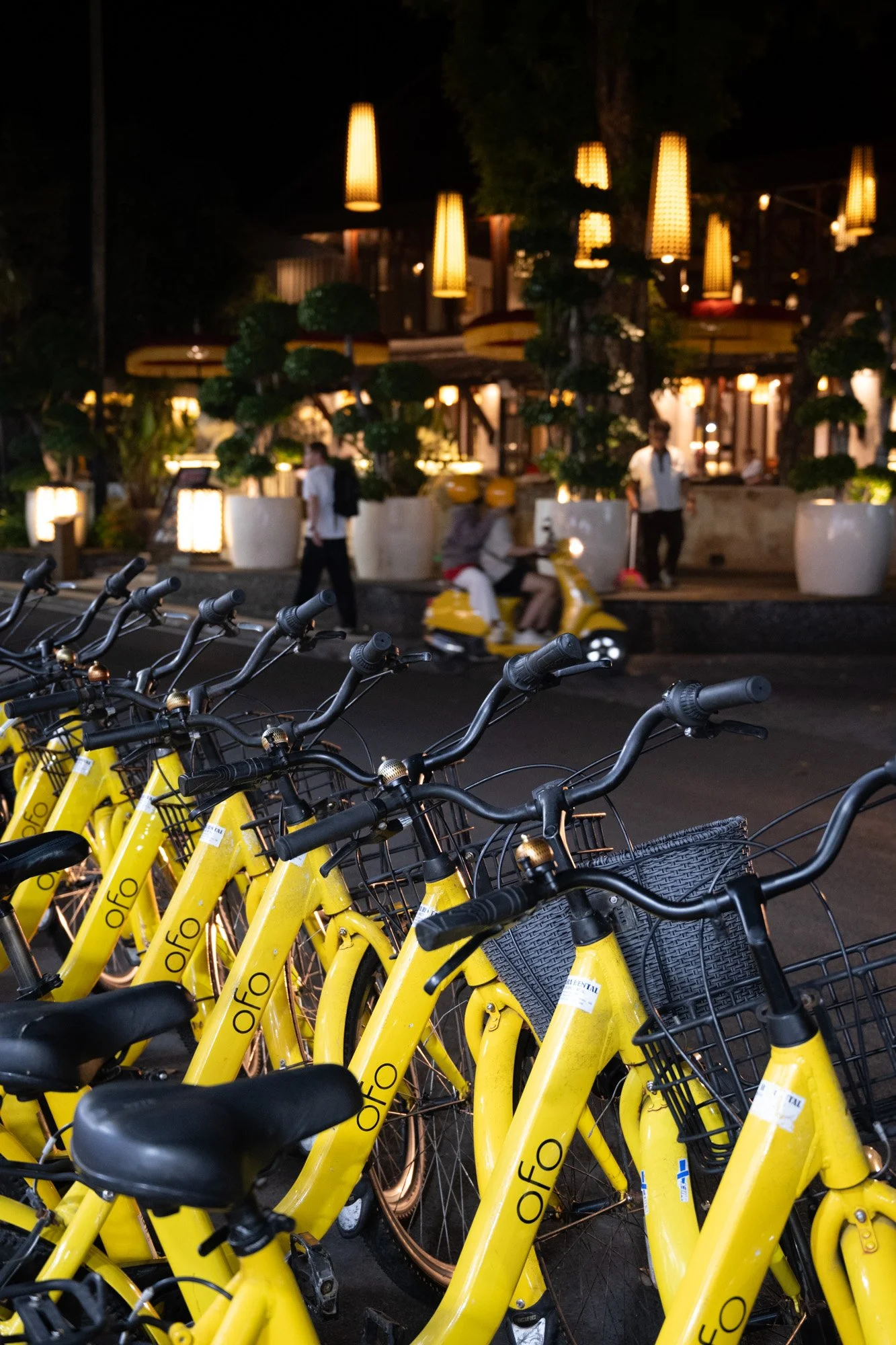Bali0726-95.jpg