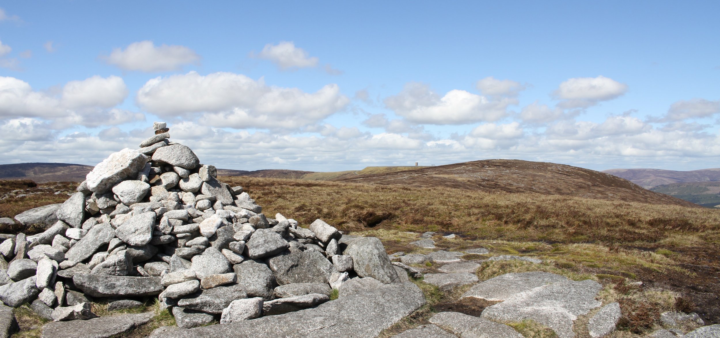 Trish Kane LandscapeMountain High.JPG