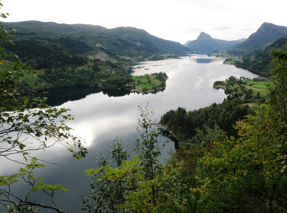 Frå Rytne Gard har du fantastisk utsikt over Dalsfjorden!