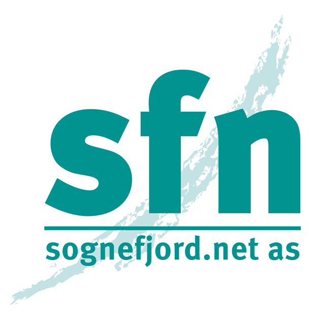 sfn logo.jpg