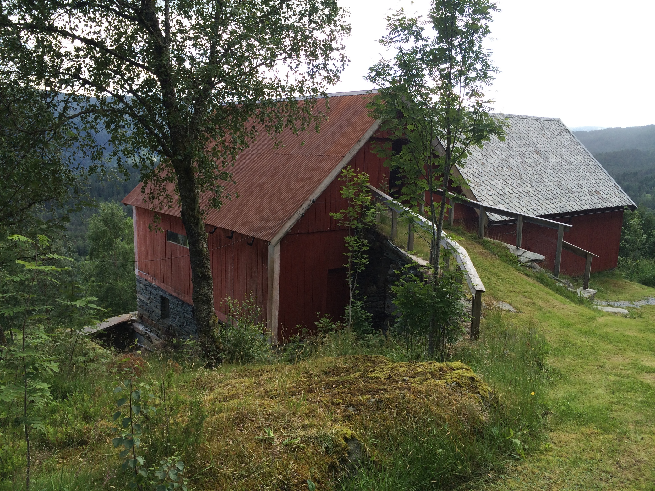 FOTO: Kamilla Mygland Storaker
