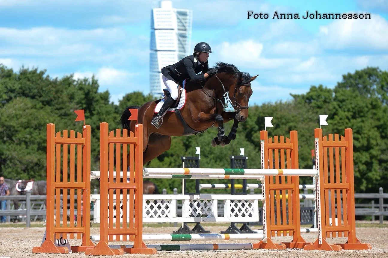 Älskar denna bild på grymma Ture, fotograf: Anna Johannesson