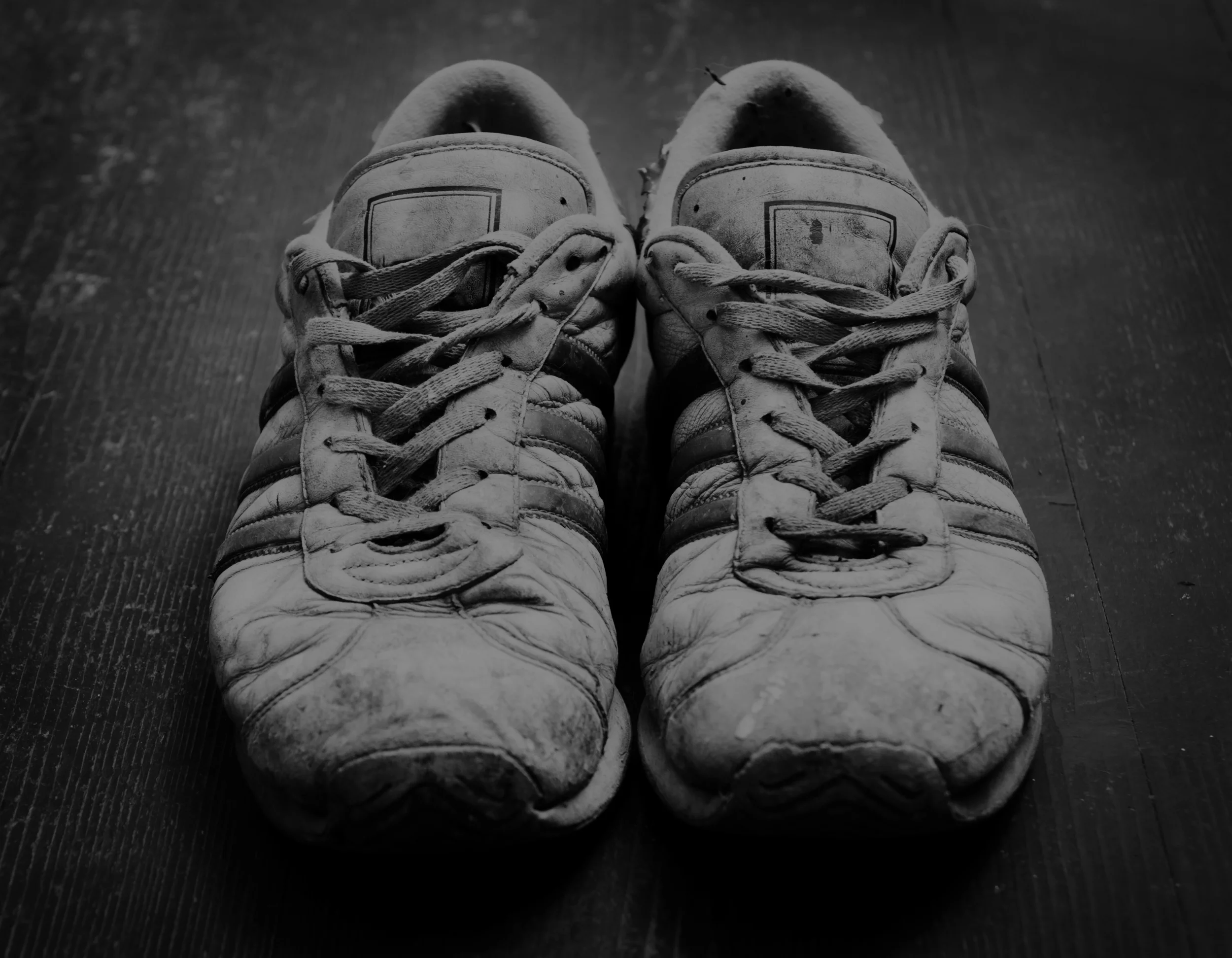 Sneakers_GRAY_no contrast.jpg