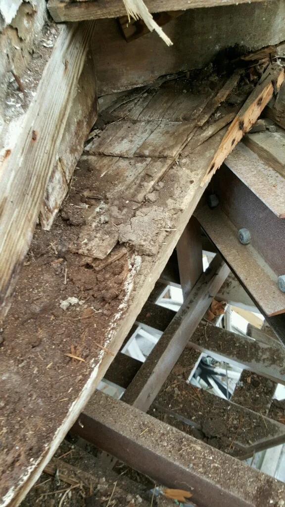 Photo courtesy of Preservation Timber Framing, Inc.