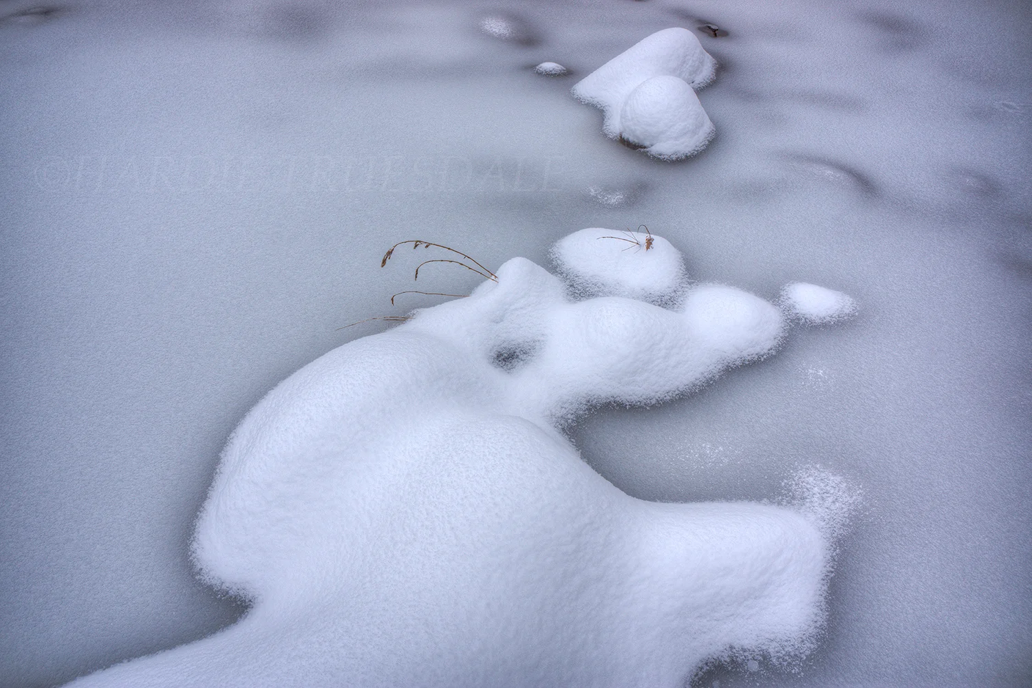 Cks#293 "Snow Creature, Esopus Creek"