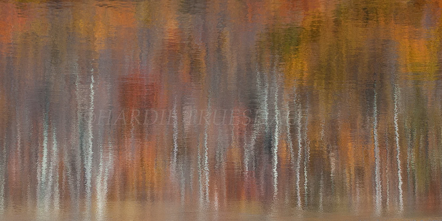 Gks#880 "Dancing Trees, Duck Pond"