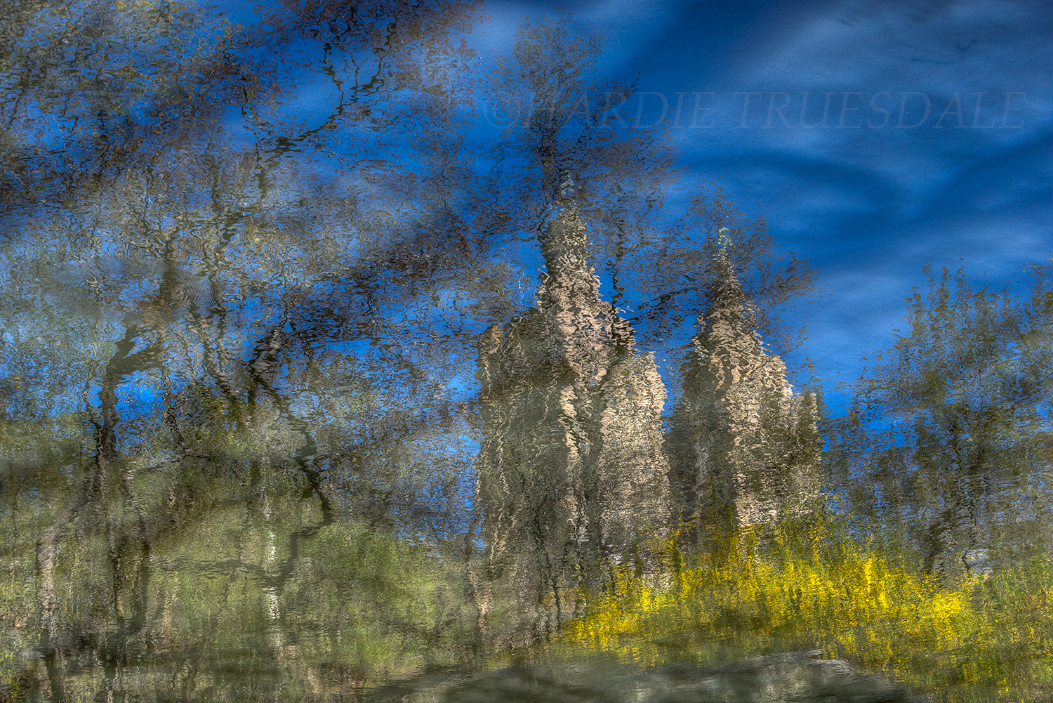  Nyc#79 "St Remo Reflections, Central Park" 