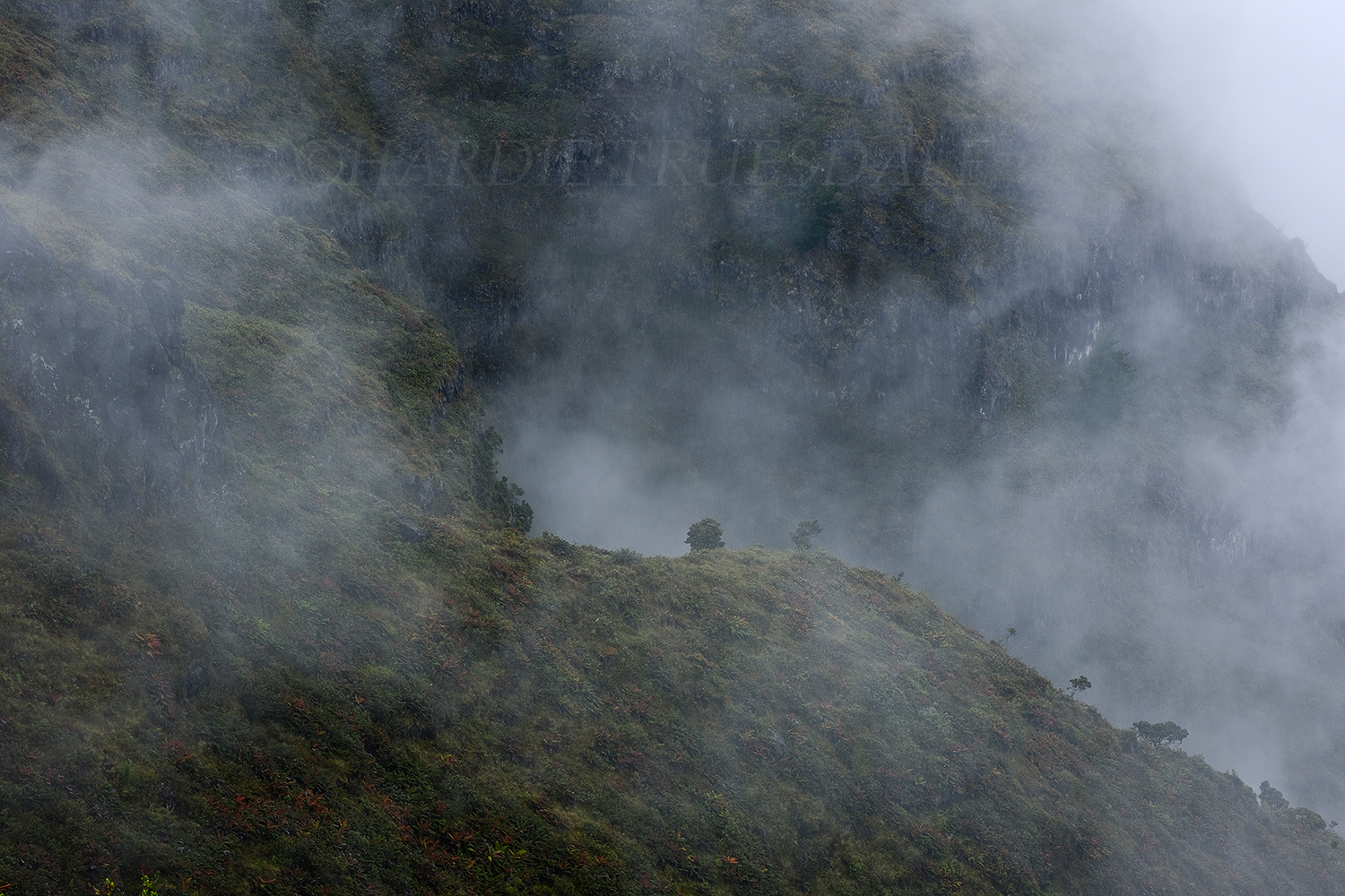  HI#52 "Haleakala In The Mist" 