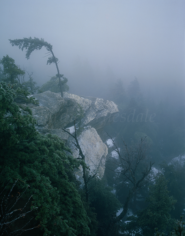  Gks#141 "Eagle Cliff Ice Storm, Mohonk Preserve" 