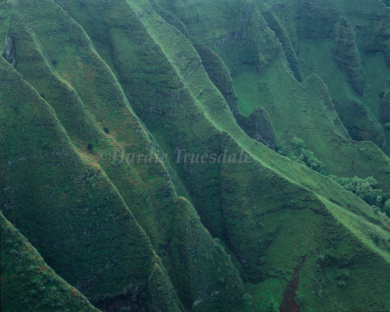  HI#027 " The Green Cliffs of Nuololo, Kauai"  