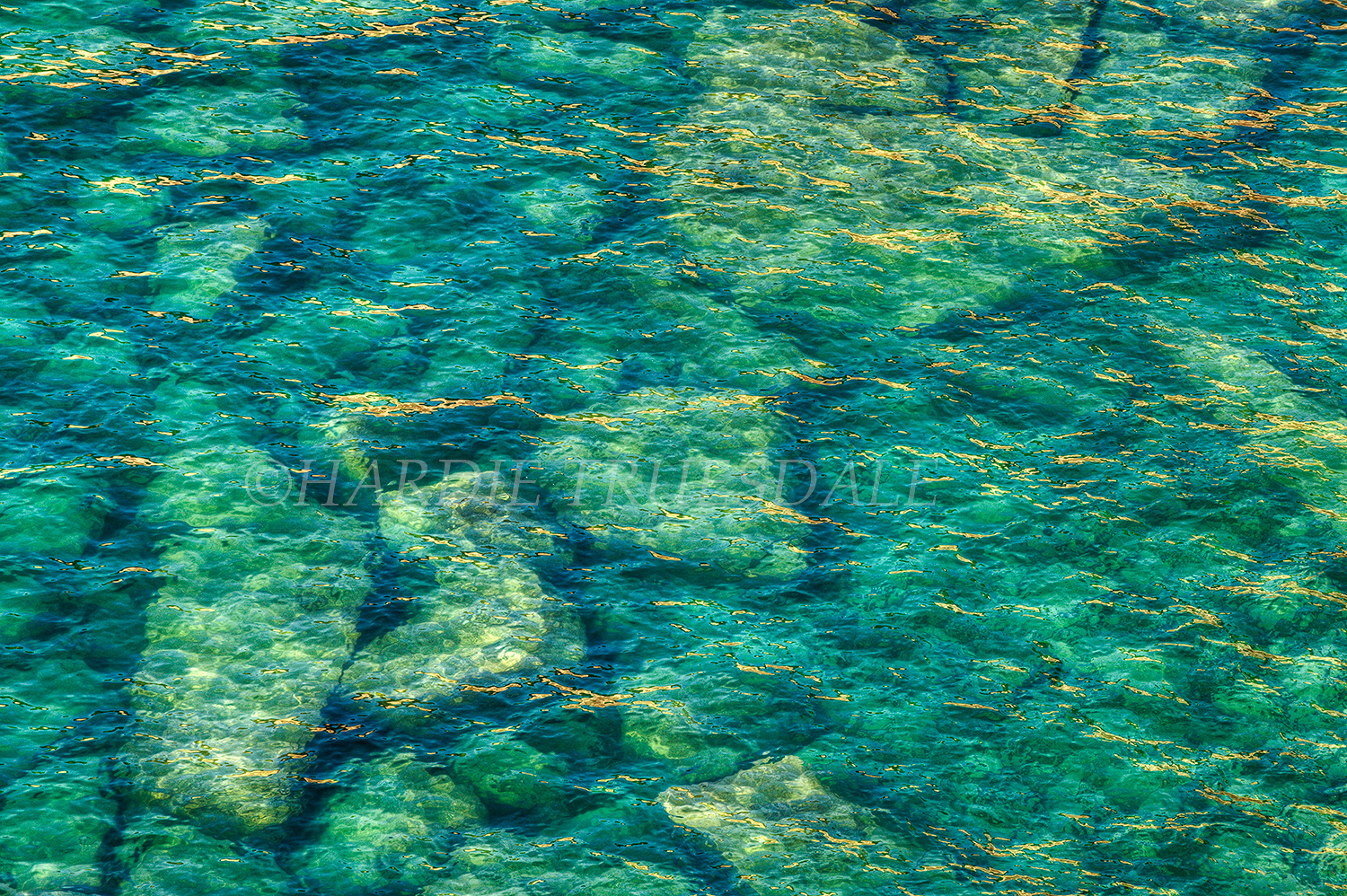  MI#039 "Submerged, Pictured Rocks Nat Lakeshore, Lake Superior" 
