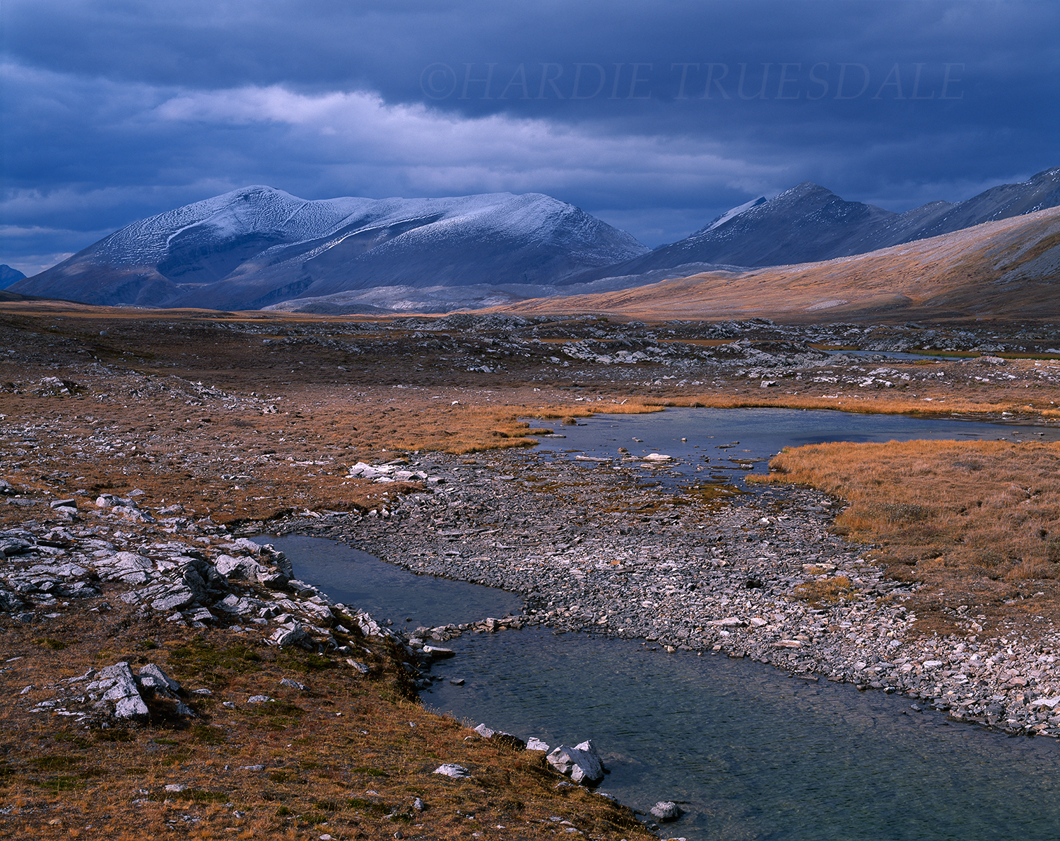 CR#042 "Wilcox Pass, Jasper National Park, Canada"
