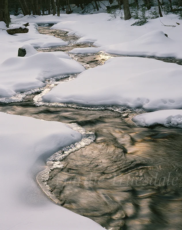 Cks#73 " Vernooykill Creek"