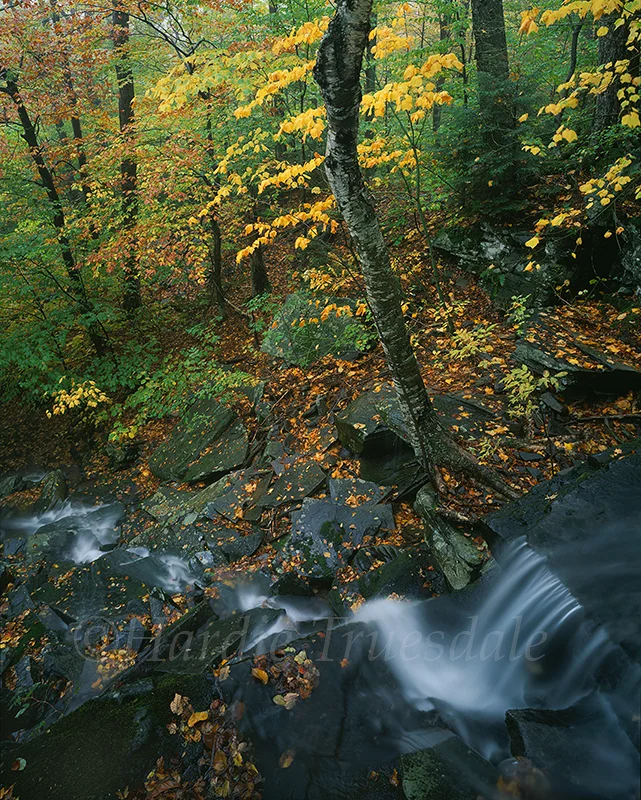 Cks#192 "Cascading Fall Brook, Pecoy Notch TraiL'