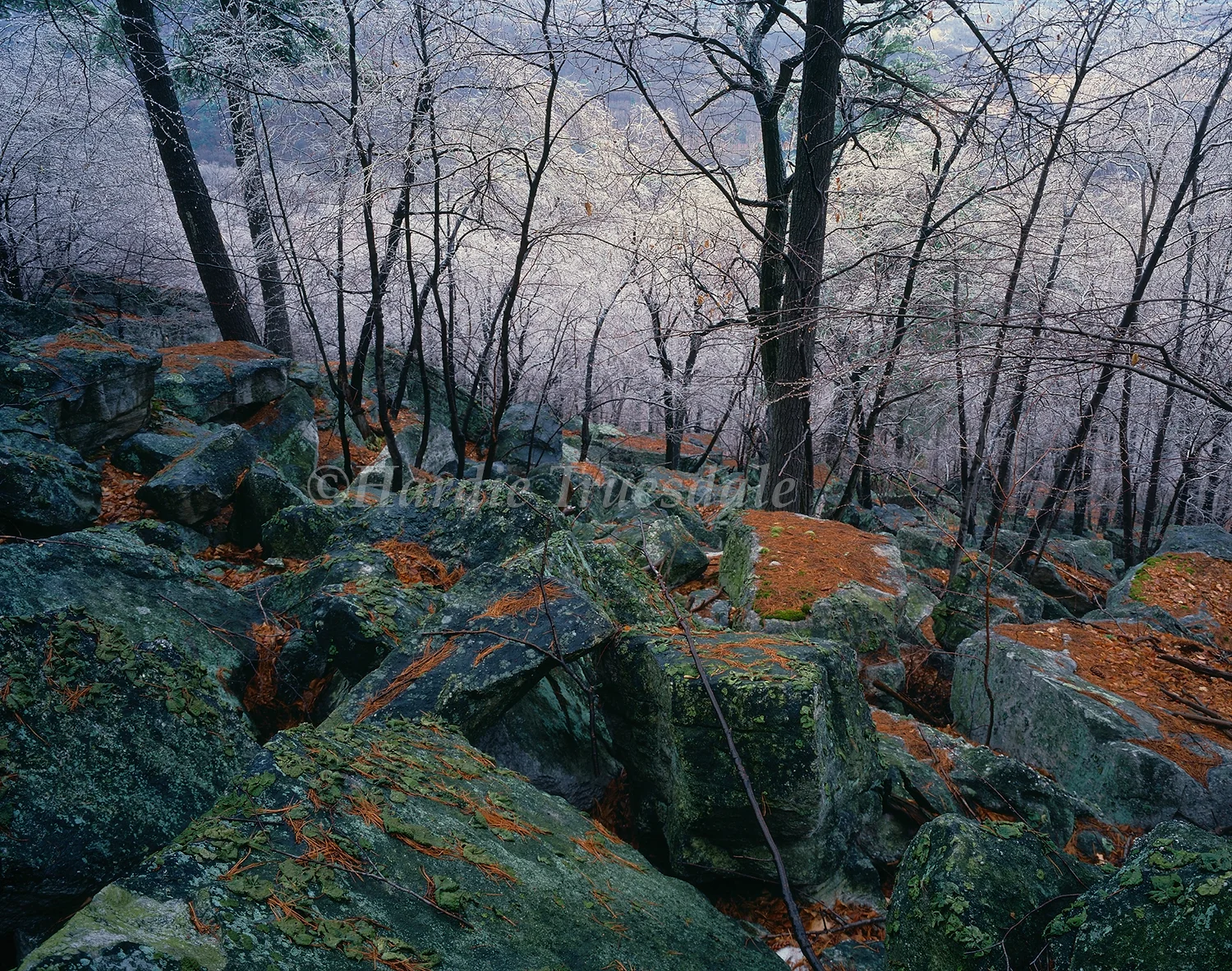 Gks#002 "Green Talus Ice Storm, Mohonk Preserve"