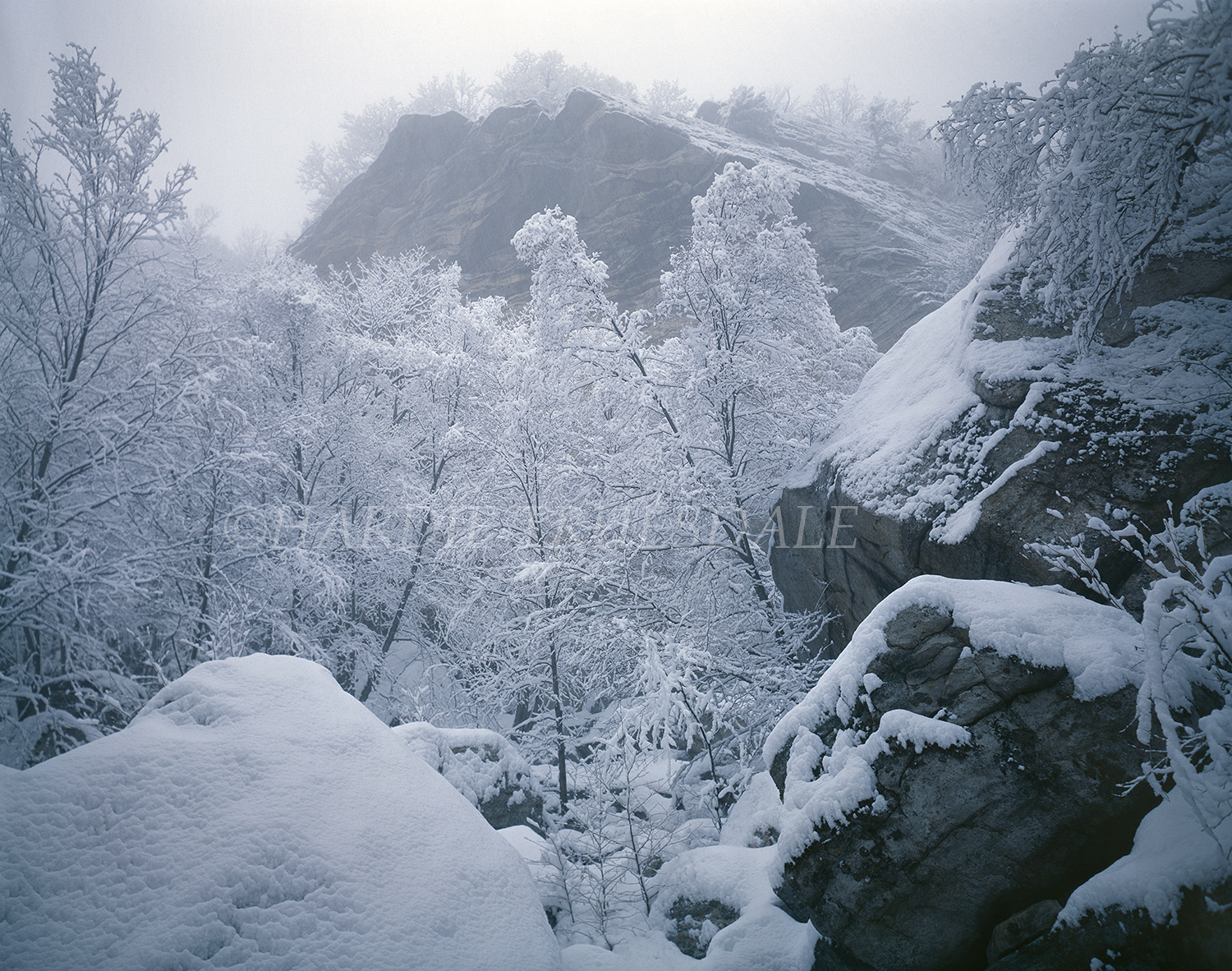  Gks#018 "Blizzard, Yellow Wall, Mohonk Preserve" 