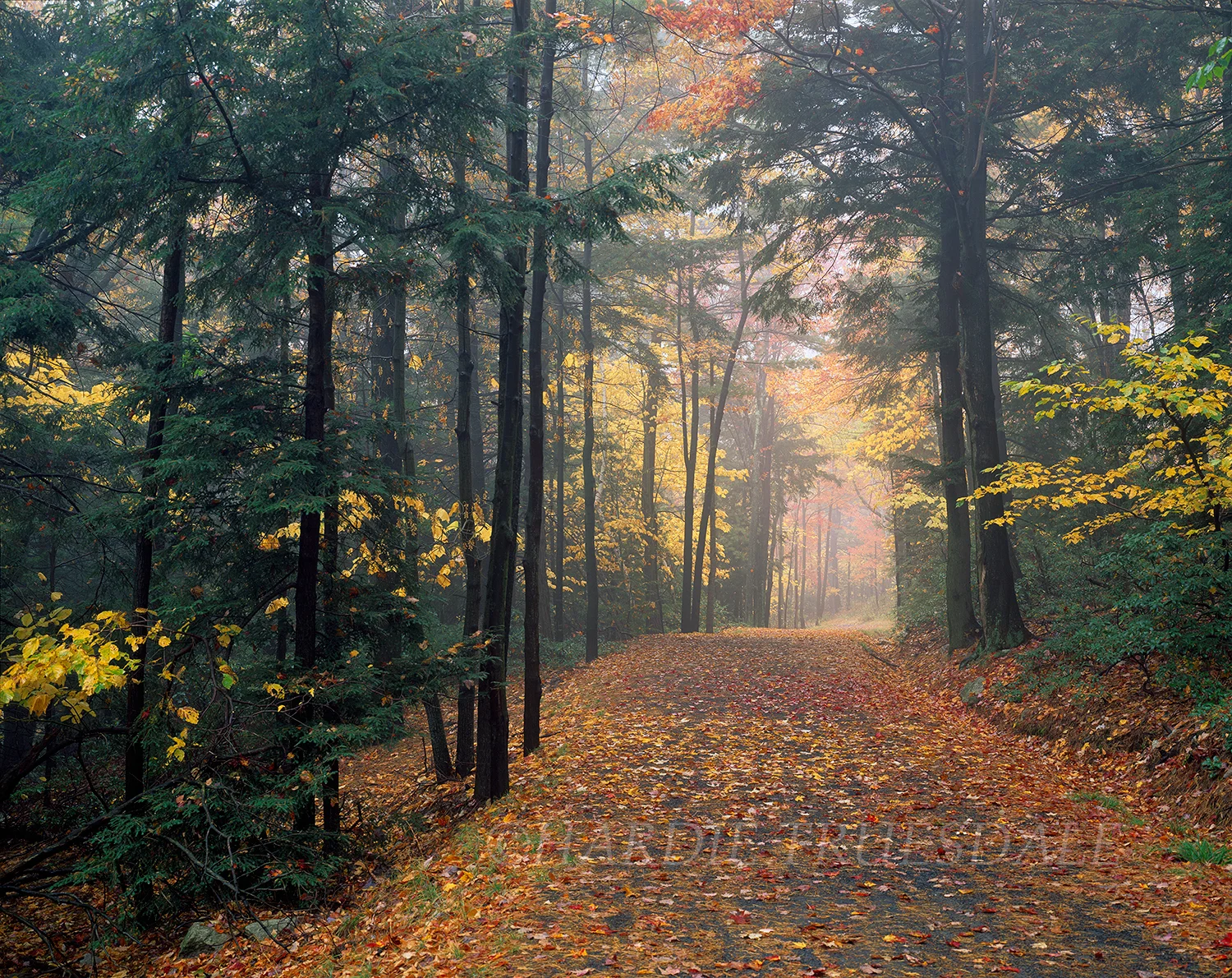 Gks#564 "Fall Carriageway, Minnewaska State Park"