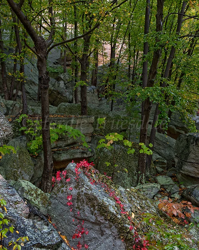 Gks#792 Touch Of Fall, Trapps, Mohonk Preserve"