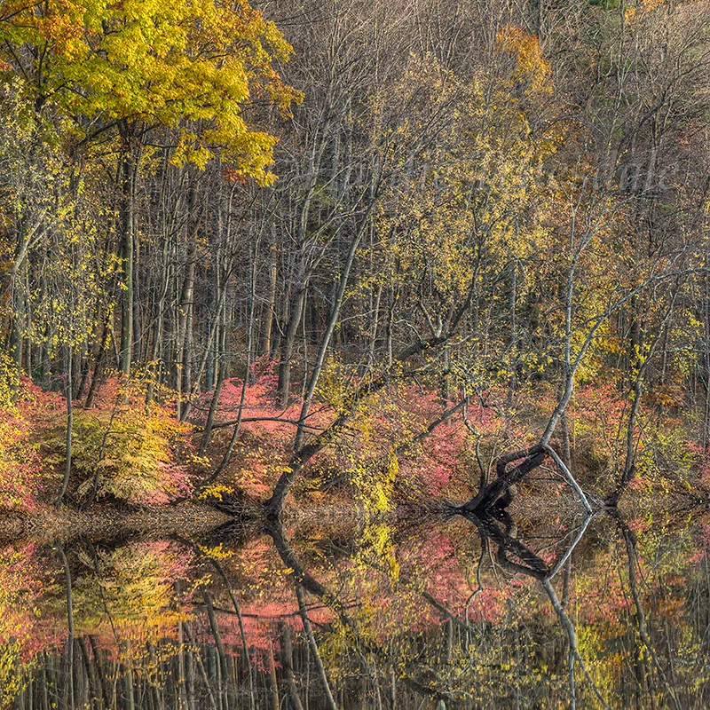 Hr#266 "Autumn Sonata, Rondout Creek"