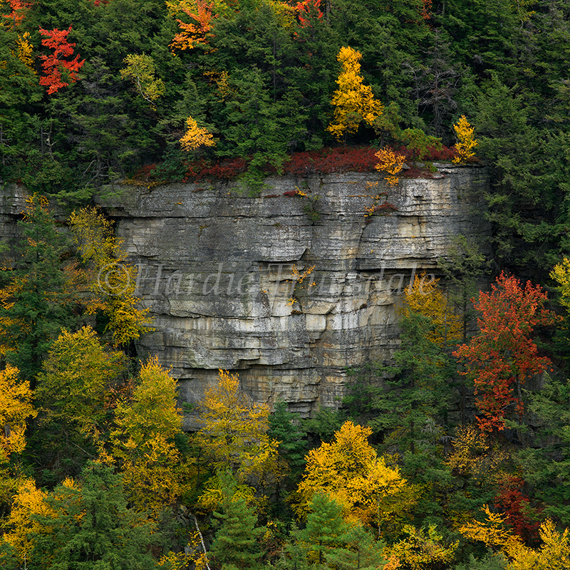 Gks#772 "Palmaghatt Fall, Minnewaska State Park"