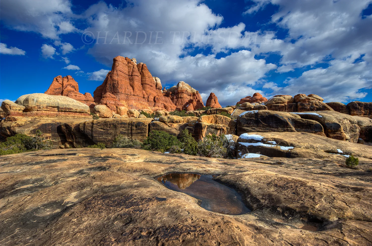 UT#132 "Needles District, Canyonlands National Park"
