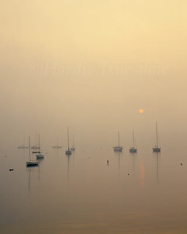 NE#003 "Sailboat Sunrise, Camden Harbor, ME"