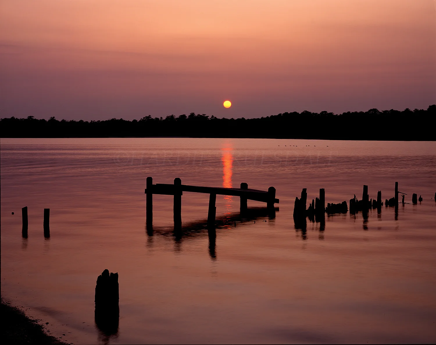 NJ#046 "Sunset, Cattus Island Park, NJ"