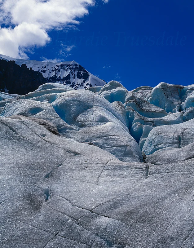 CR#016 "Columbia Ice Fields, Jasper National Park, Canada"