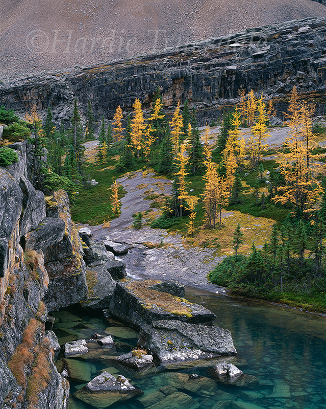 CR#037 "Lake Victoria Fall, Yoho National Park, Canada"