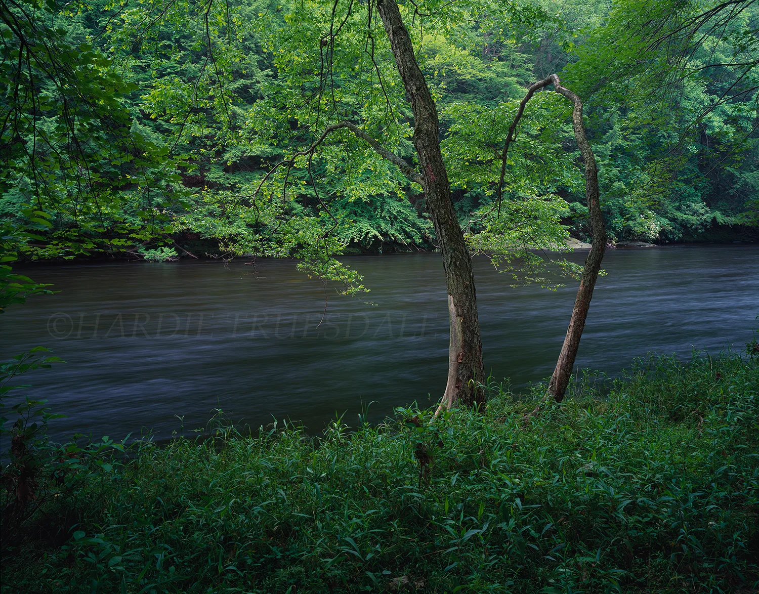 SNY#030 "Neversink River, Neversink Preserve"