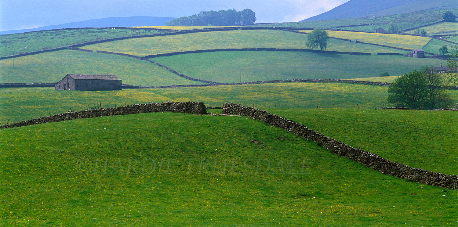 Eng#3 "Stone Fences and Fields" Hawes, Yorkshire Dales, England 