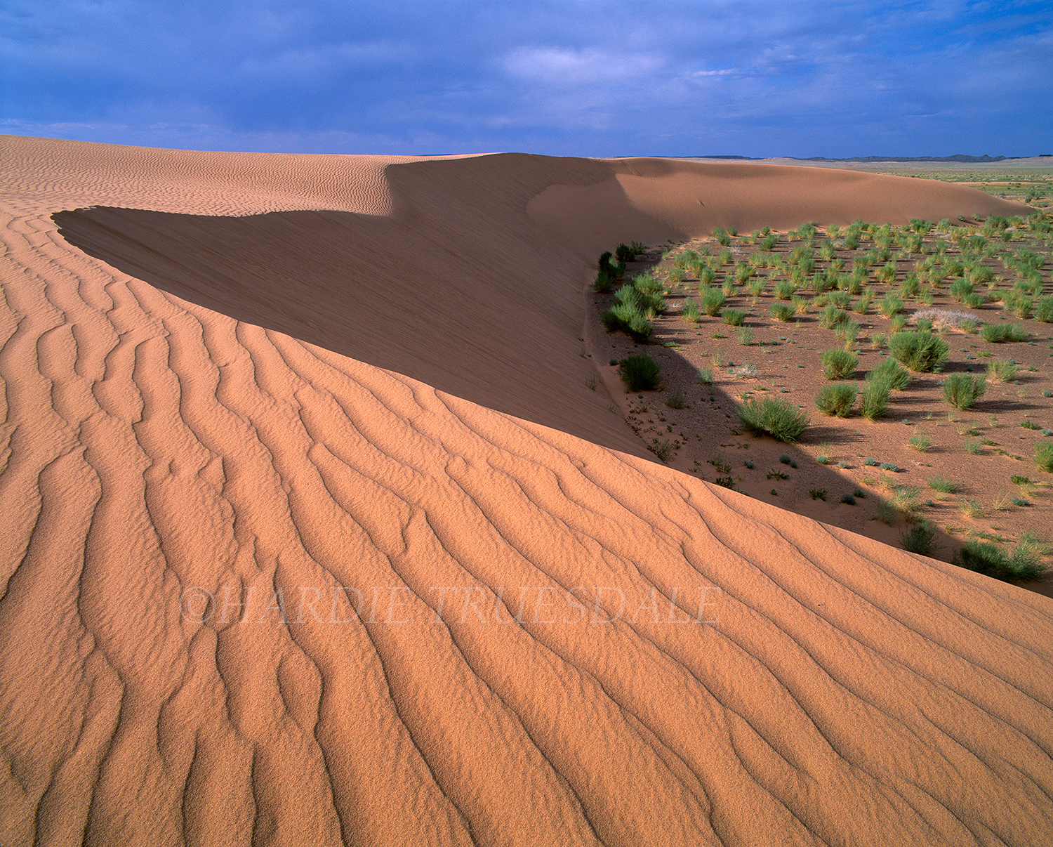  Mgl#1 "Mongolian Dune Shadows", Moltsog Els Dunes, Gobi Desert, Mongolia 