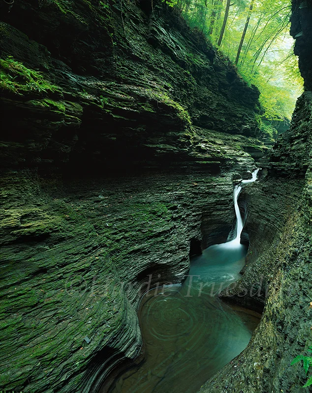  WNY#058 "Watkins Glen State Park, NY" 