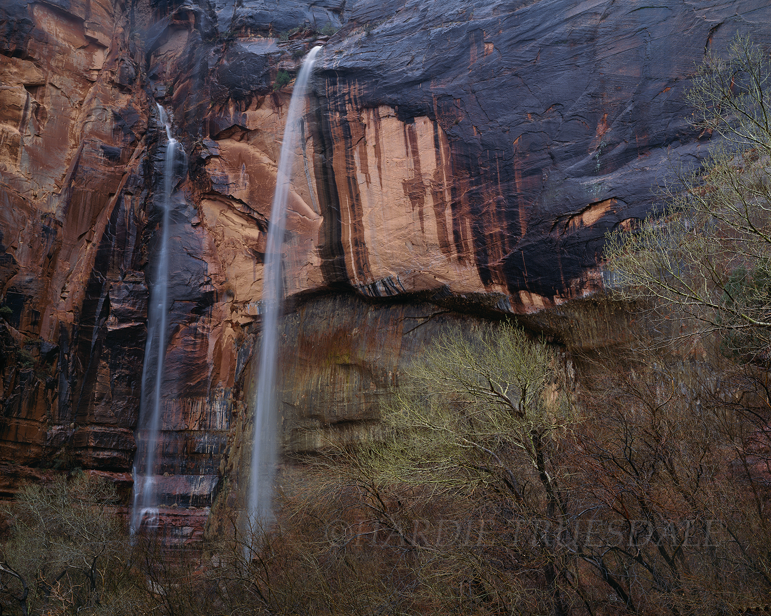 UT#38 Weeping Wall Waterfall, Zion National Park, UT