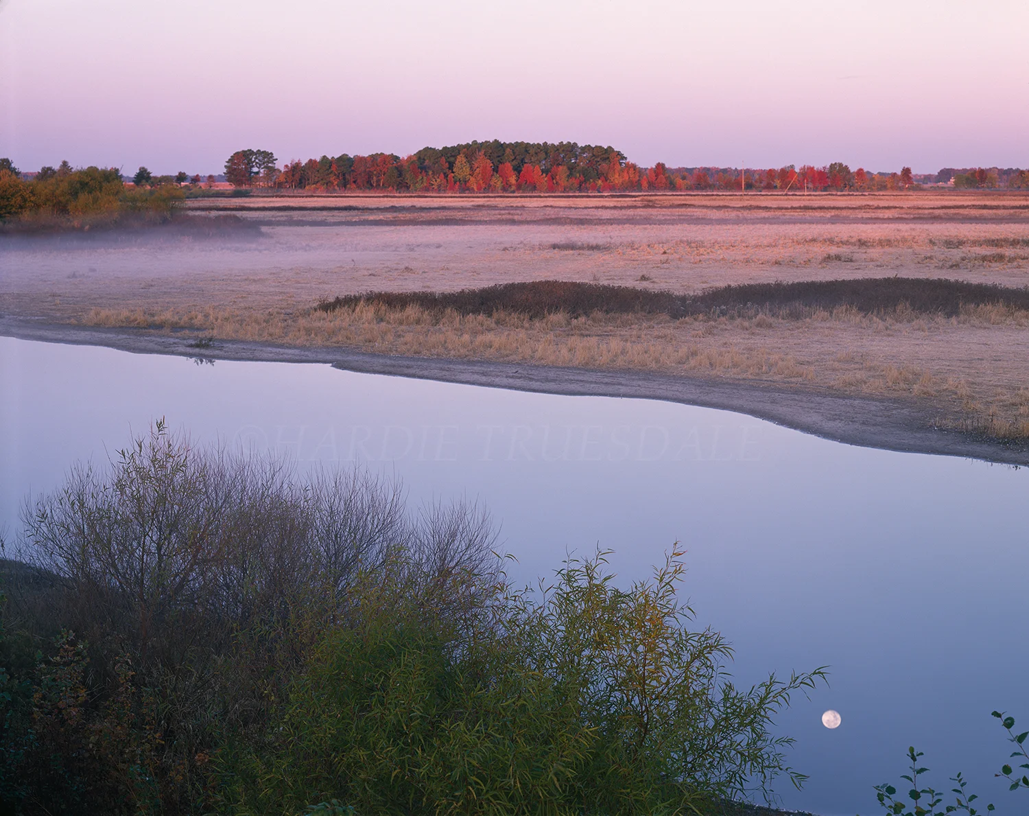 MD#006 "Blackwater National Wildlife Refuge, MD"
